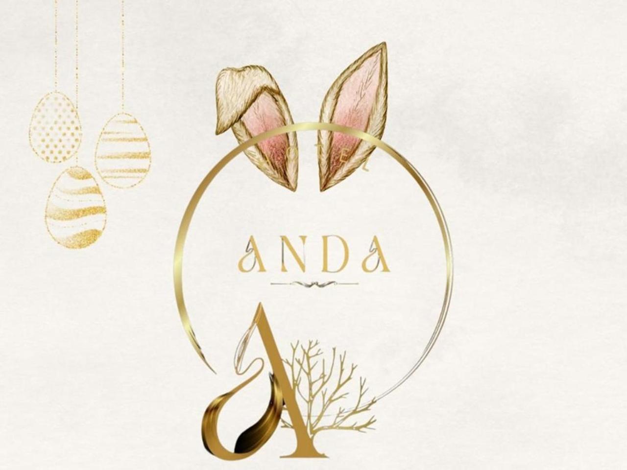 Anda מלון